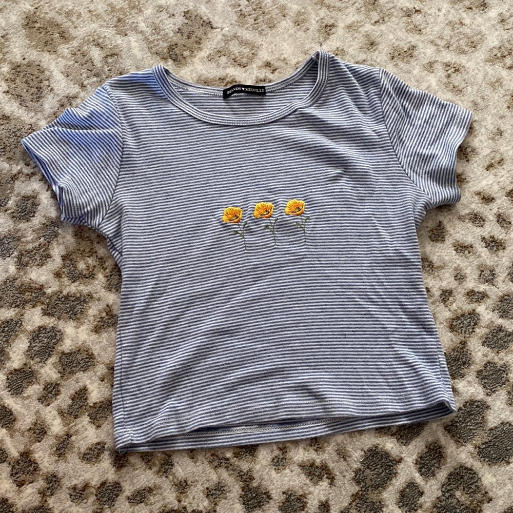 Blue flower Brandy Melville shirt